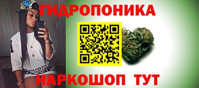 прущие грибы Гусь-Хрустальный