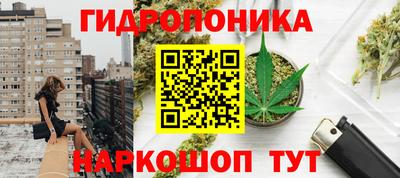 прущие грибы Гусь-Хрустальный